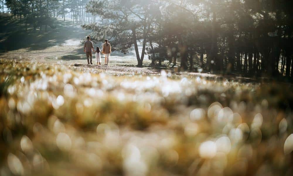 Jak przygotować się na adopcję?