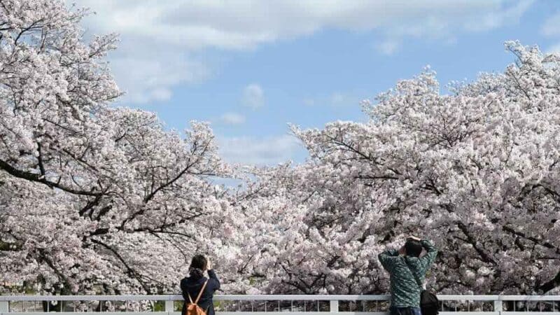 Jak edytować zdjęcia w Lightroom? Poradnik dla początkujących i zaawansowanych