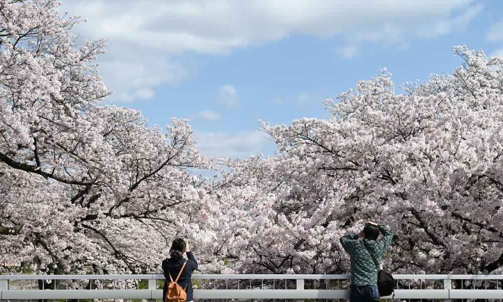 Jak edytować zdjęcia w Lightroom? Poradnik dla początkujących i zaawansowanych